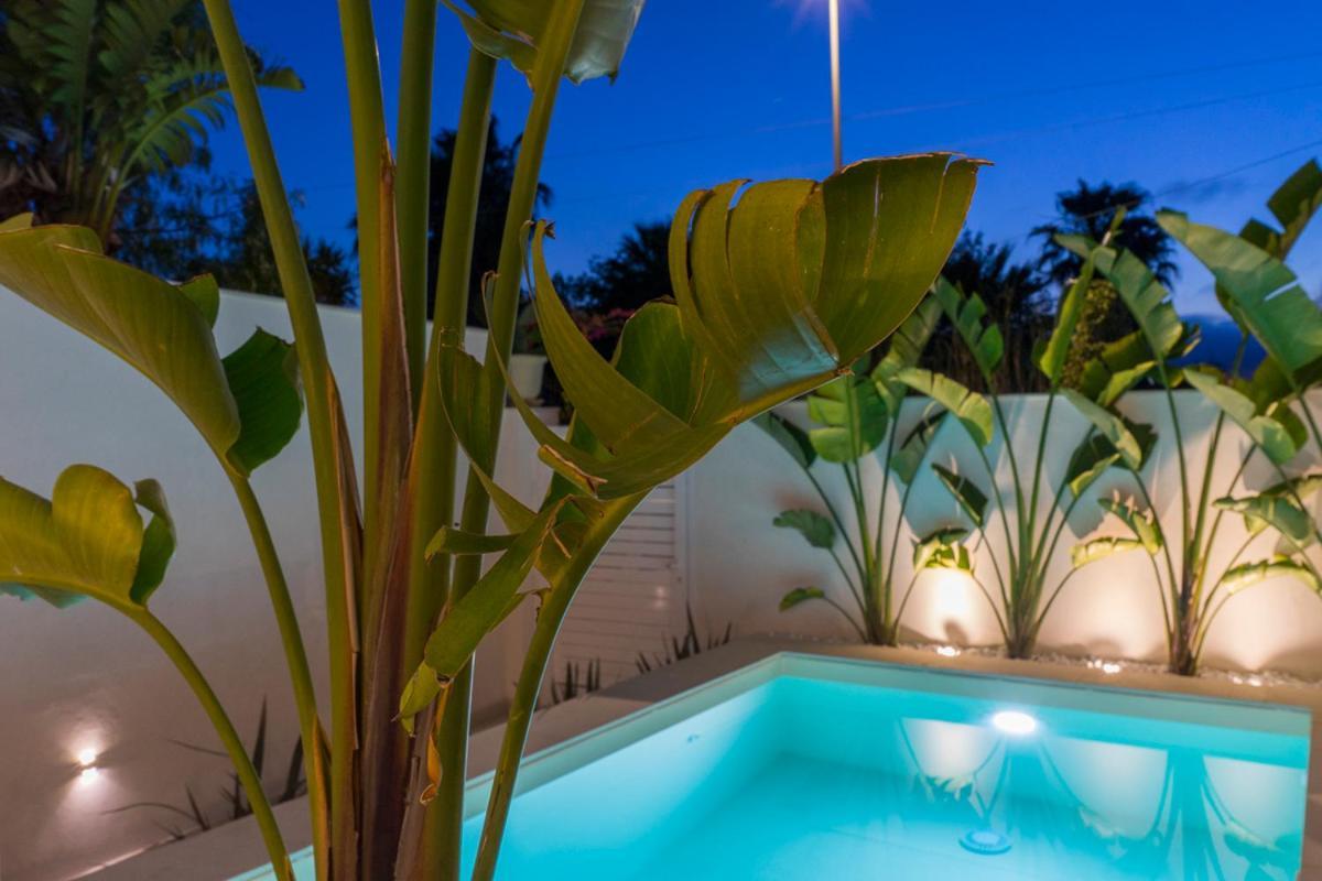 Villa Delle Palme Con Piscina Privata 圣玛丽亚德尔法加洛 外观 照片